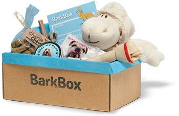 top header box